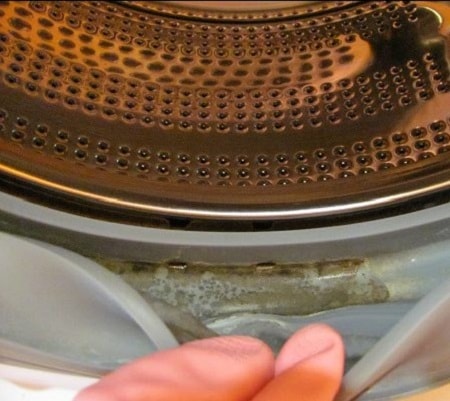 Schimmel von der Waschmaschine entfernen